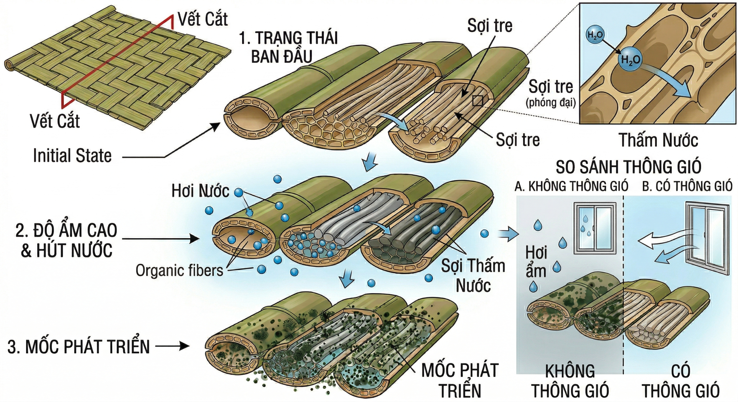 chieu-che-truc-bị-moc